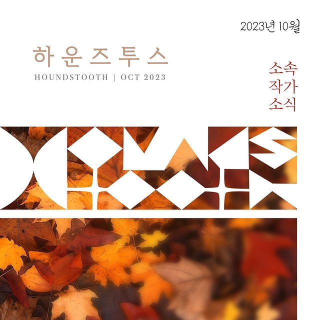hounds_tooth12's tweet photo. 박유선 <분노의 개구리>, 송하연 공동감독작품 <물 만난 붕어빵>, 우진 <가리사니> 도 국내외 관객을 만나러 갑니다! 캘린더에 일정 check check!! https://t.co/5aJguIebL8
