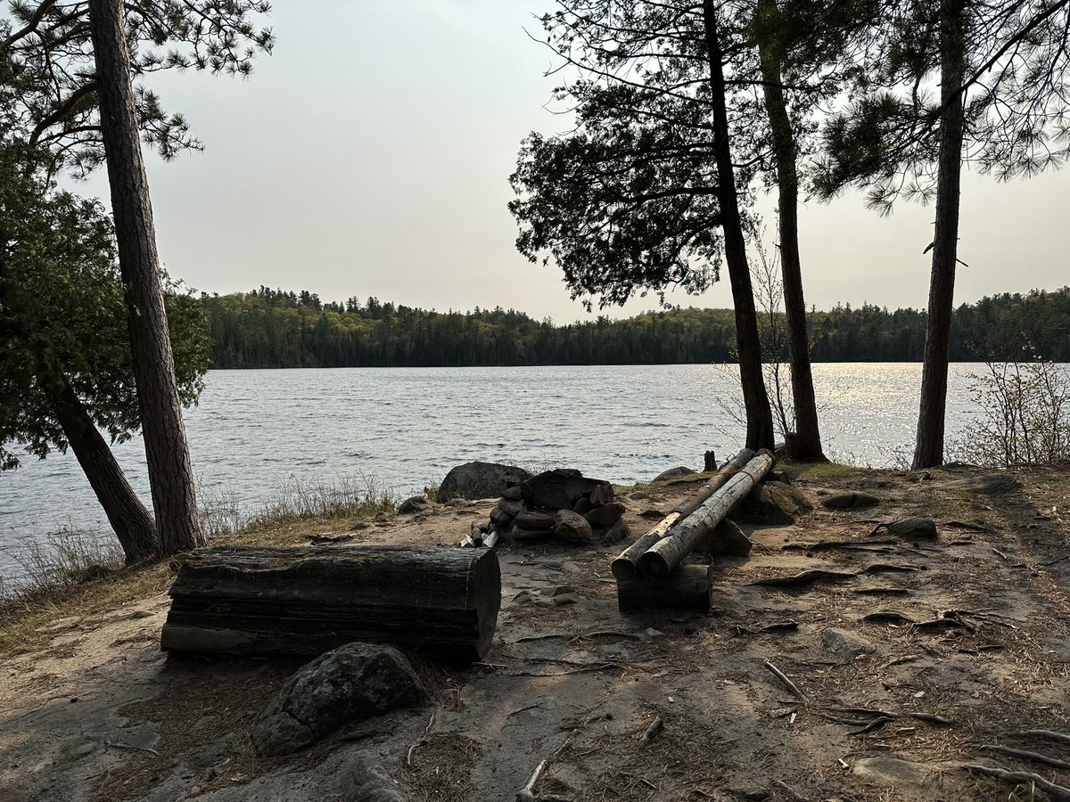 Let’s do a top five. Here are the five best campsites I stayed on in #algonquinpark this year. Why? Why not! Starting at #5 we’ve got an island site in the south end of Érables Lake. I stayed there back in May. It was cold and exposed, but it had great views & tons of space.