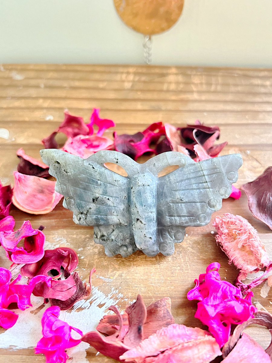 Annabtlouise's tweet photo. Treat yourself today to a gorgeous crystal from Rose and Quartz!🤍✨ I’d be honored if you’d take a chance on my shop!

We have high-quality, affordable crystals, specially curated mystery boxes, a gift with every order, same/next day shipping

VIDEOS🧵⬇️ https://t.co/buKUpcpL6P

📸: Moonstone, Prehnite, Labradorite, Ocean Jasper

Your support would mean EVERYTHING!🫶🏼 get free shipping on orders $75 and up with code FREE