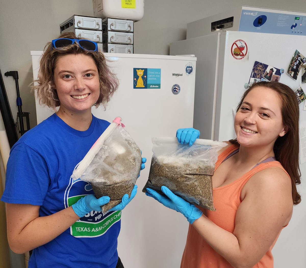 Bahr Marine Ecology Lab tweet media