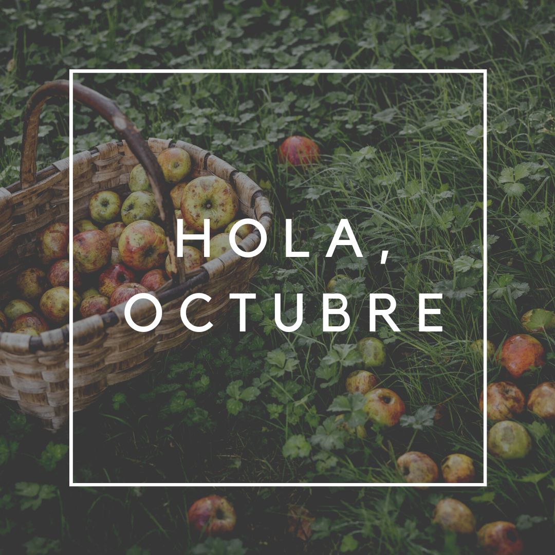 Se termina oficialmente el mes de septiembre y damos la bienvenida a octubre. Eso sí, con las mismas ganas e ilusión de siempre.

Por aquí somos así:  nos encantan todas las estaciones y todos los meses, porque cualquiera es bueno para disfrutar de Pomarina.

¡Súbete al barco de