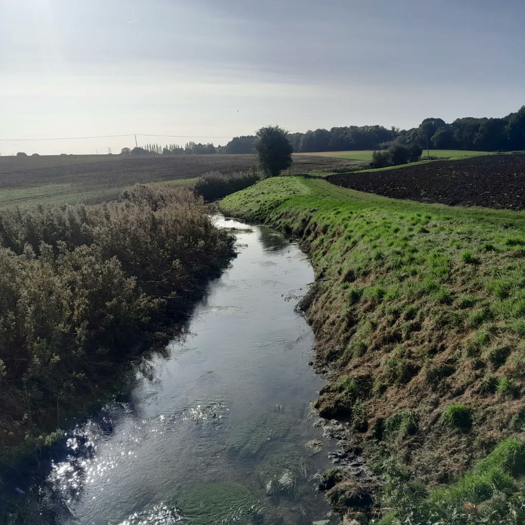 SayNoToGYWest's tweet photo. Autumn has arrived Laceby Beck (chalk stream) looks stunning.

#savethefreshneyvalley #grimsby #chalkstream #saynotogywest #Autumn #AutumnVibes #Autumn_shot https://t.co/a6lGAXweGJ