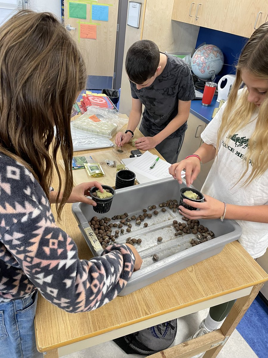 Mr.Green_PWE tweet media