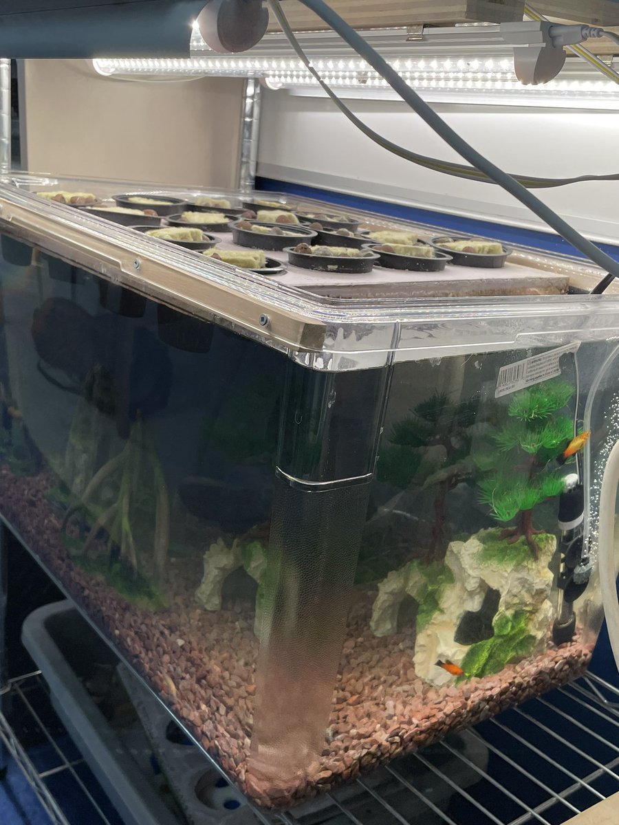 Mr.Green_PWE tweet media