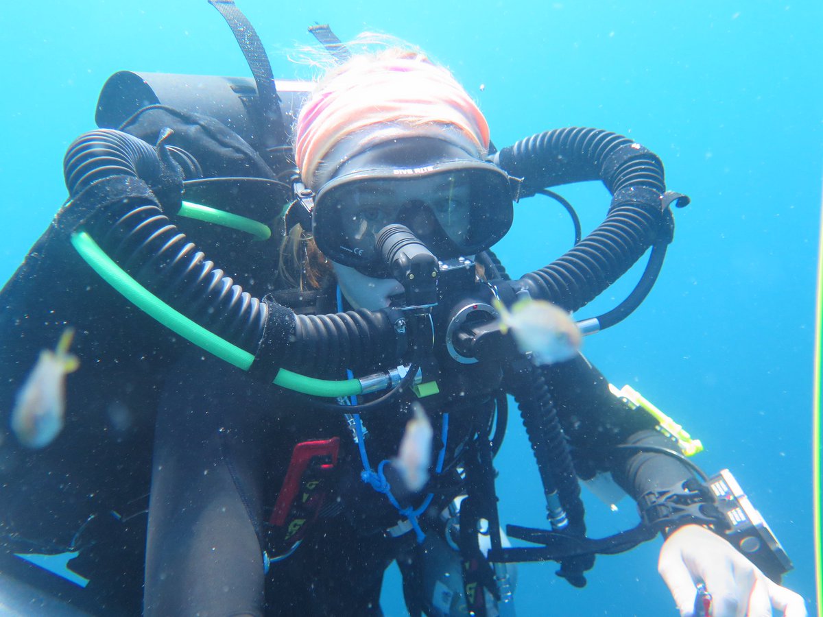 Allie Klein tweet media