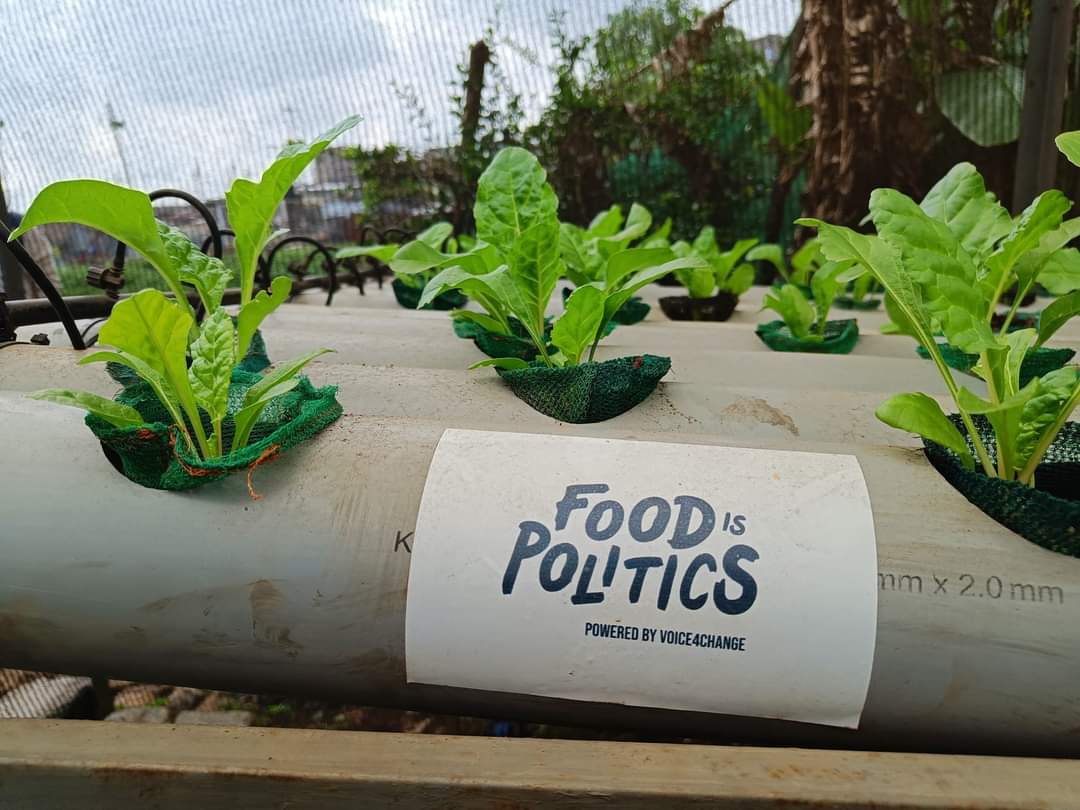 SohanYouthNetG's tweet photo. 🍽️🌍 #Food choices shape our world! From farm to fork, it's all connected to politics, economics, society, &amp; #nutrition. 🌿 

Embracing youth for a sustainable food future that nourishes us &amp; our planet is vital. 🌱 Let's talk, let's act! 💪🗳️ #FoodIsPolitics🌾🥗 https://t.co/OeLmcKfd1g