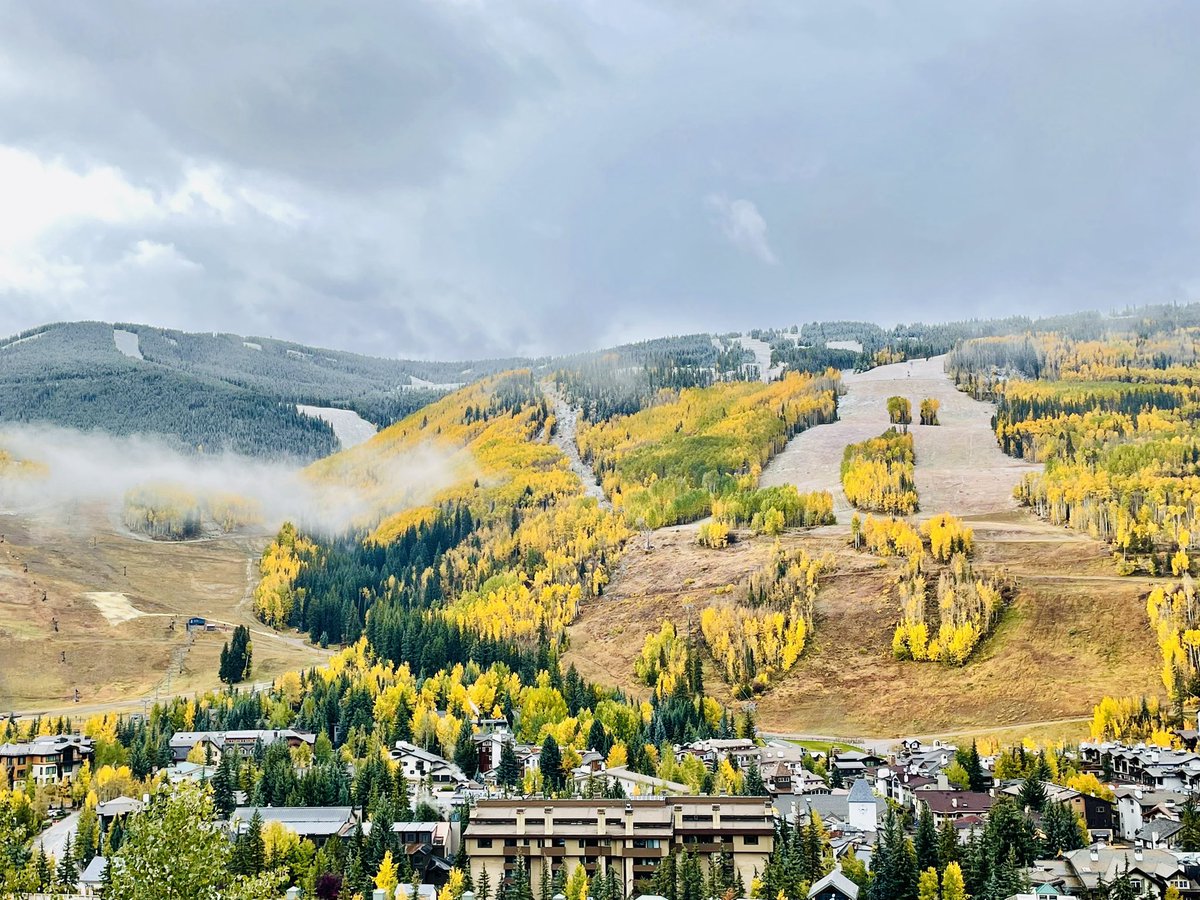 Vail Mountain Haus (@MountainHaus) / Posts / X