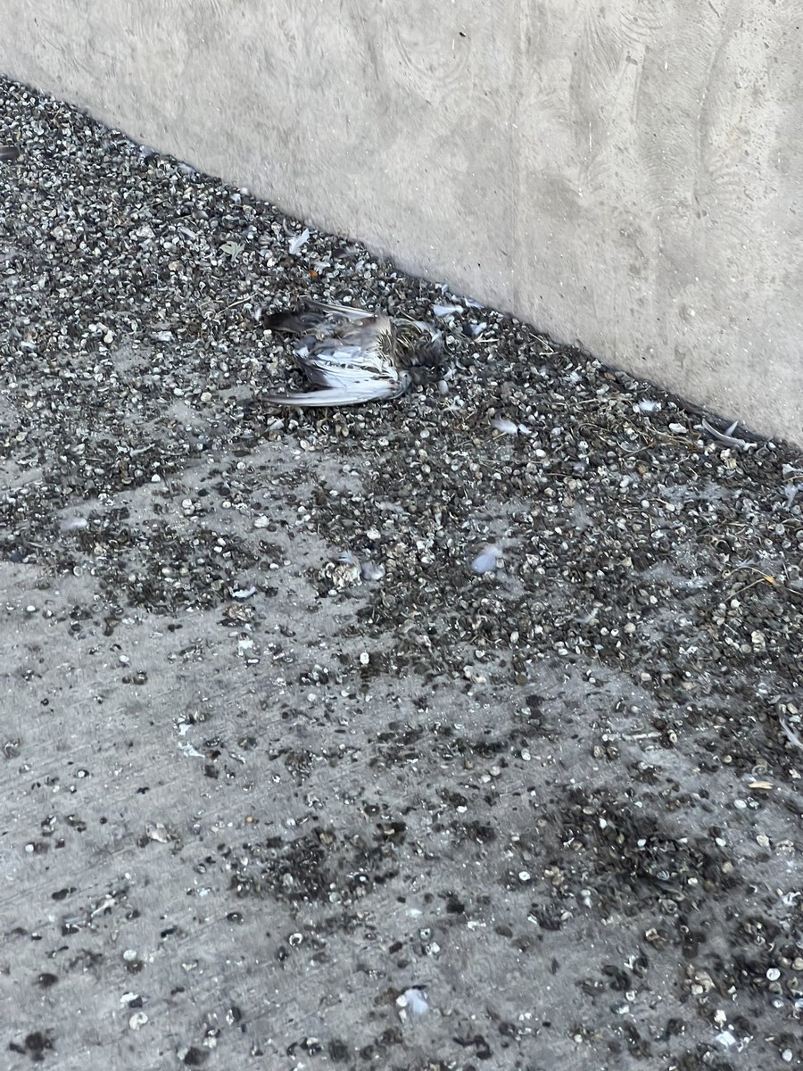 exurbanist's tweet image. Remember: proposals for mixed use buildings and/or art depicting carnival games are a threat to the aesthetics of the riverfront gateway to #Peekskill. Also: the current (and long-standing) aesthetics of the riverfront gateway to Peekskill ⬇️