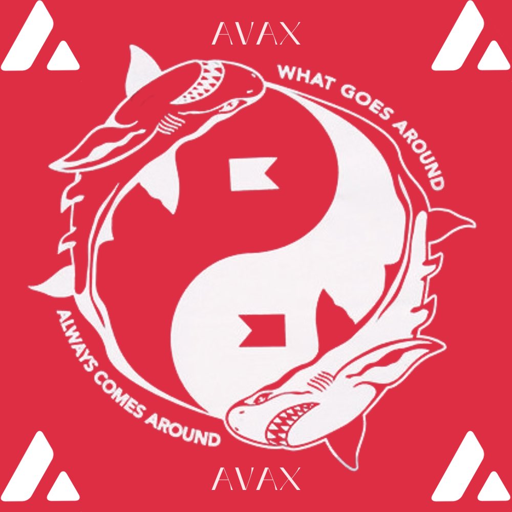 FinsUniverse tweet media