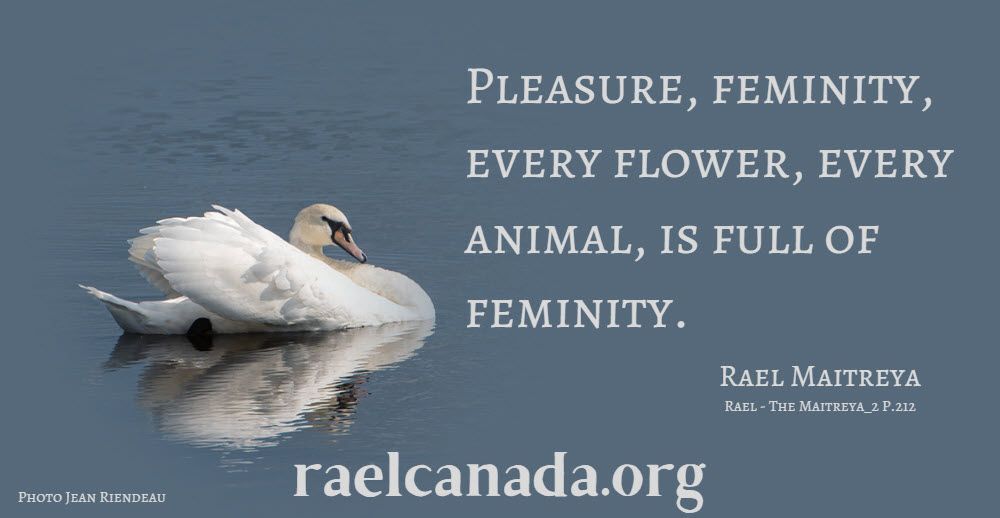 raelcanada's tweet image. Pleasure, feminity, every flower, every animal, is full of feminity.

Rael - The Maitreya 2 P.212 

Want to learn more, download this free Ebook at
rael.org/ebook/maitreya…

#Elohim #raeliens #freedownload #meditate #raelquotes #feminity #spreadlove