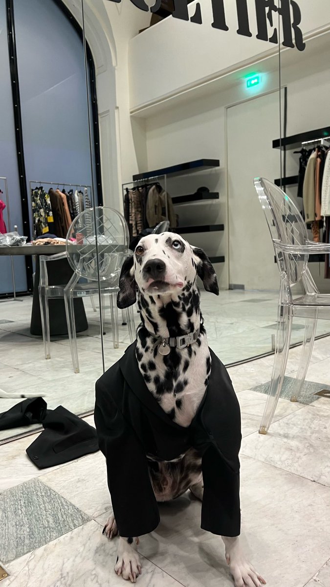 clementgrobotek's tweet photo. Essayages chez Gaultier 🐄🖤 https://t.co/IBOQPhWx8V