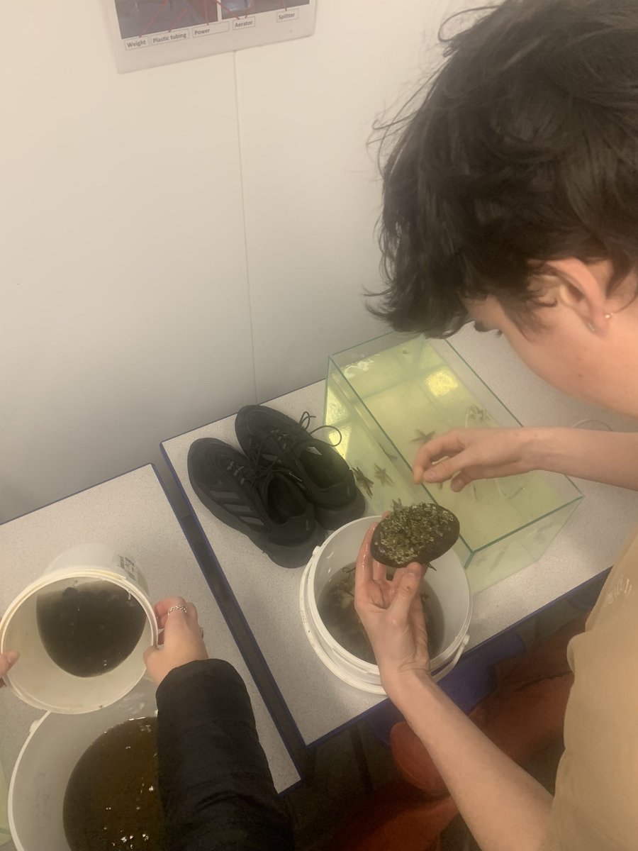 Day two. AH Biology. Did someone say Barnacle? Phyllis the Science platypus making friends with the locals!