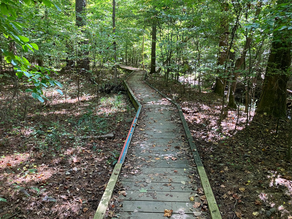 MBSPlugins's tweet image. A long way, but finally arrived at the #PauseOnError #FileMaker summer camp.

Looking forward to meet a lot of #ClarisFileMaker developers here.

pausewithus.com/camp-2023