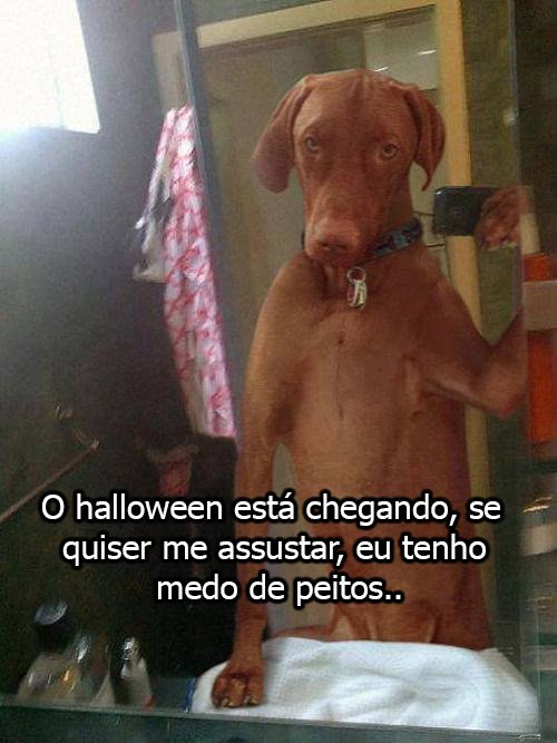 igual eu