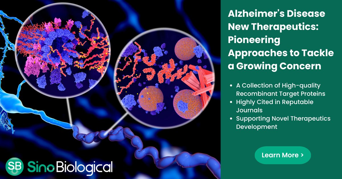 Sino_Biological's tweet photo. Explore the latest breakthroughs in #Alzheimers therapeutics, including FDA-approved anti-Aβ antibodies and the role of recombinant proteins in drug discovery https://t.co/9vCREzPqmE https://t.co/wuCQ125Twt