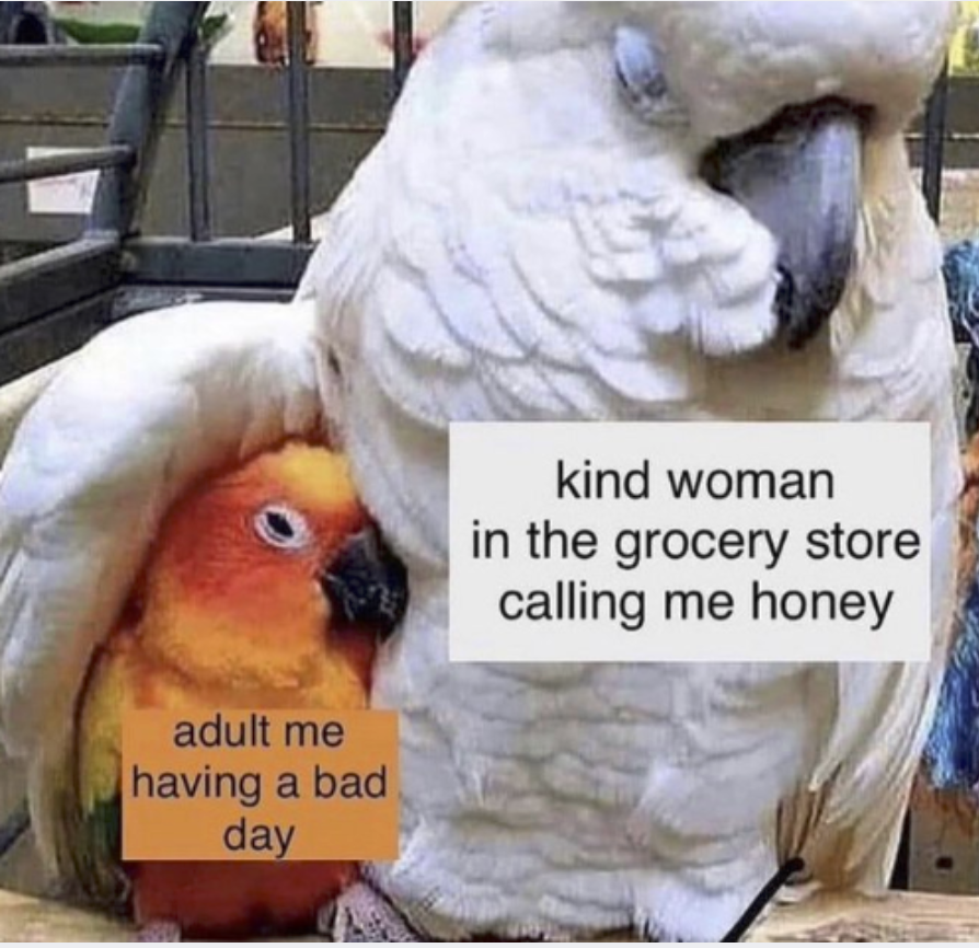 Respectful Memes tweet media