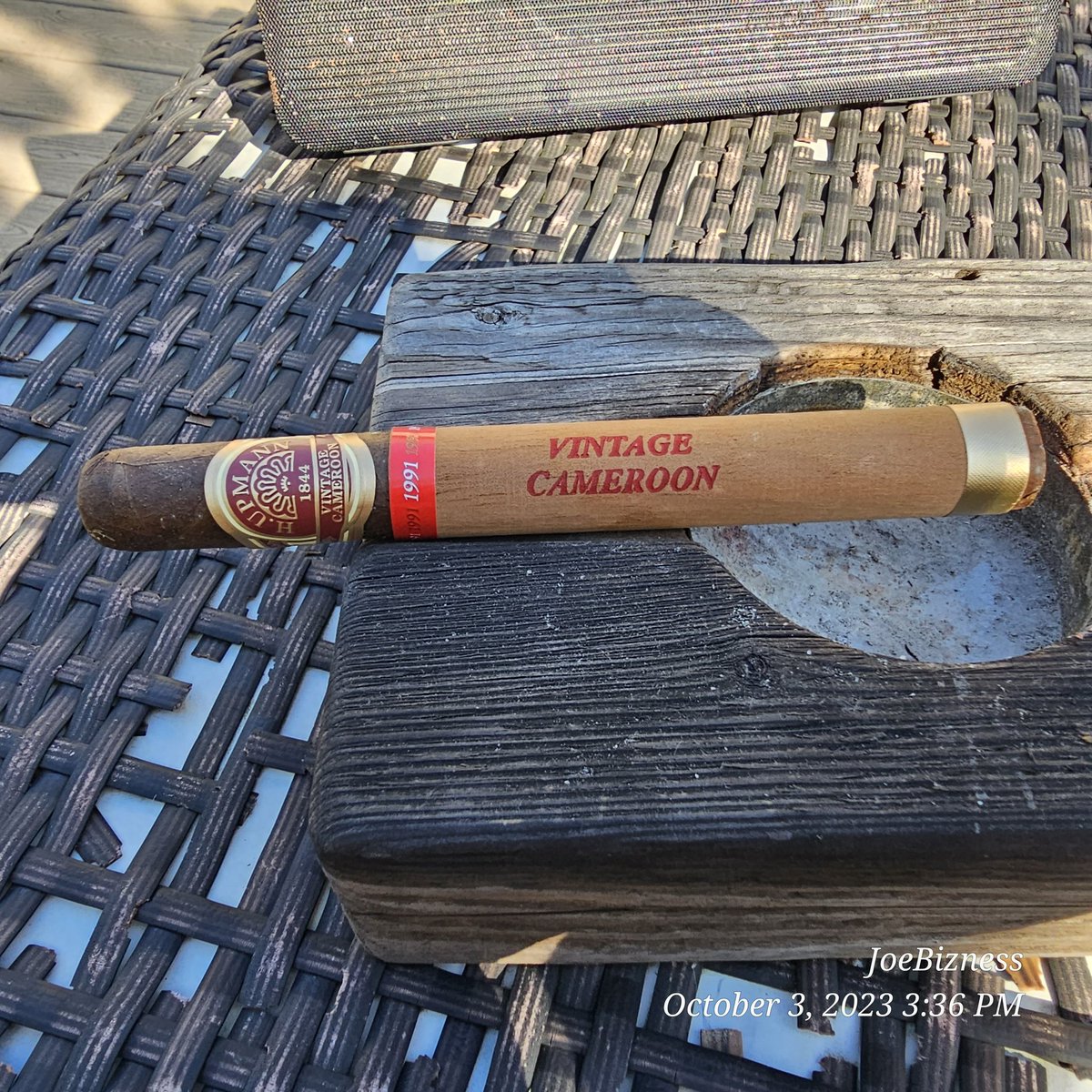 Joey Scalzo tweet media