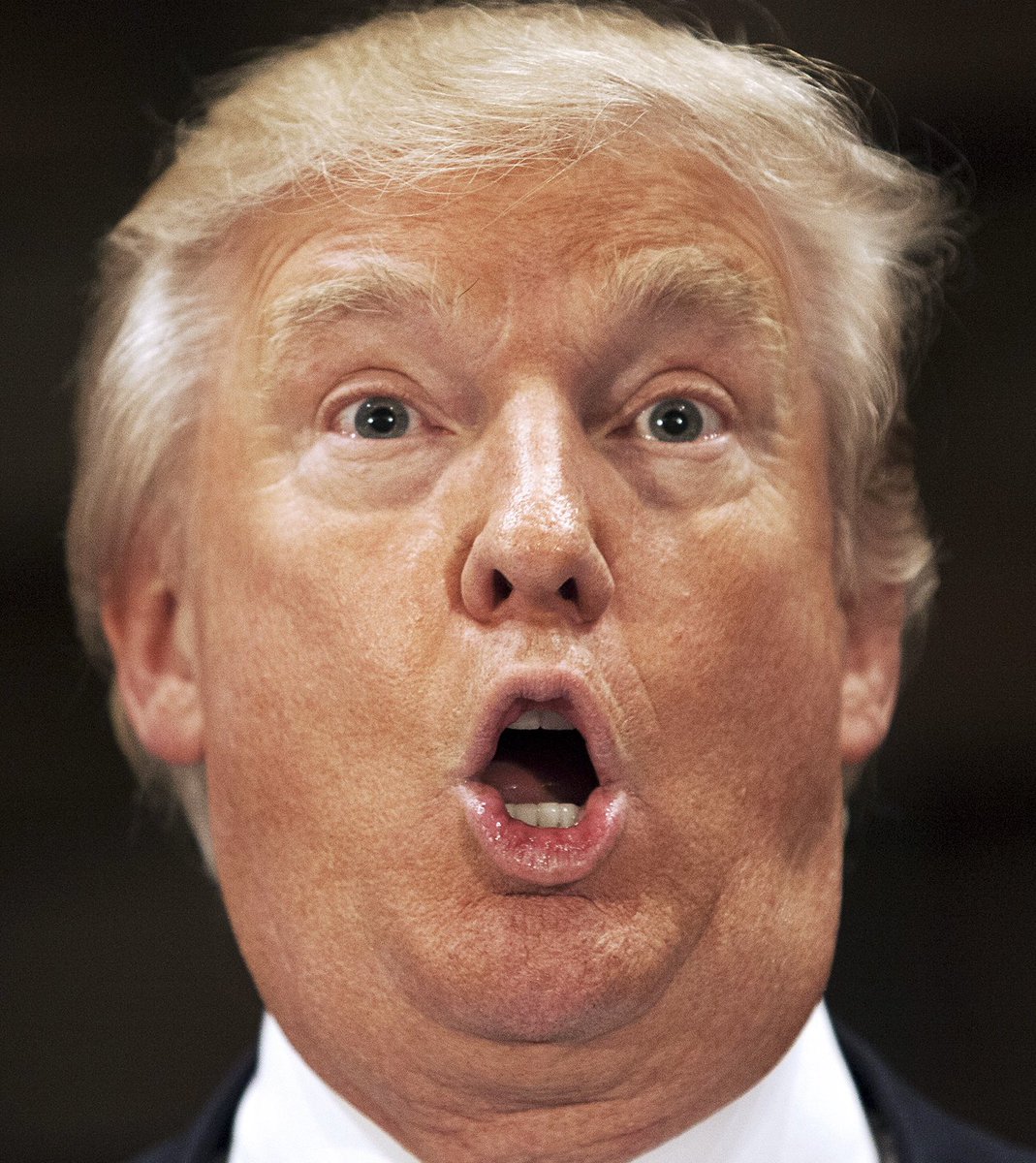 Occupy Democrats tweet media