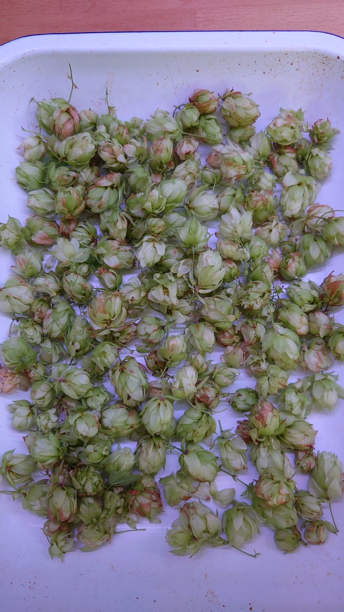 Mark Light tweet media