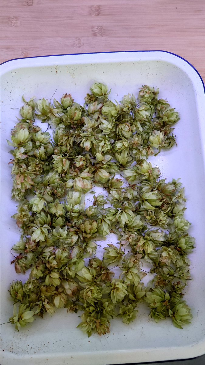 Mark Light tweet media