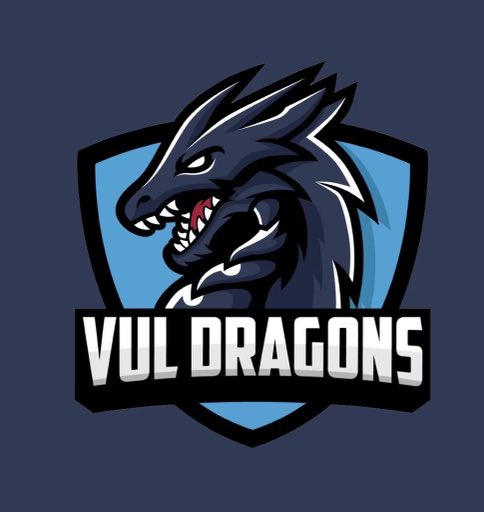 NaseemPacheco's tweet photo. After a great call from @coachDoeEdwards I'm extremely blessed to receive a HBCU offer from Virginia University of Lynchburg!! #GoDragons🐉 https://t.co/aHzlpQDSR1