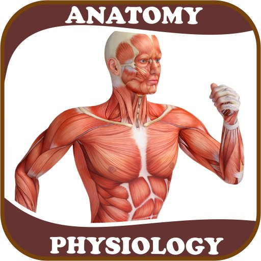 geogitonga's tweet image. Optimize your Anatomy and Physiology assignments with my assignment help. My expert guidance ensures success in your medical science projects. #Anatomy #Physiology #MedicalAssignments #AssignmentHelp