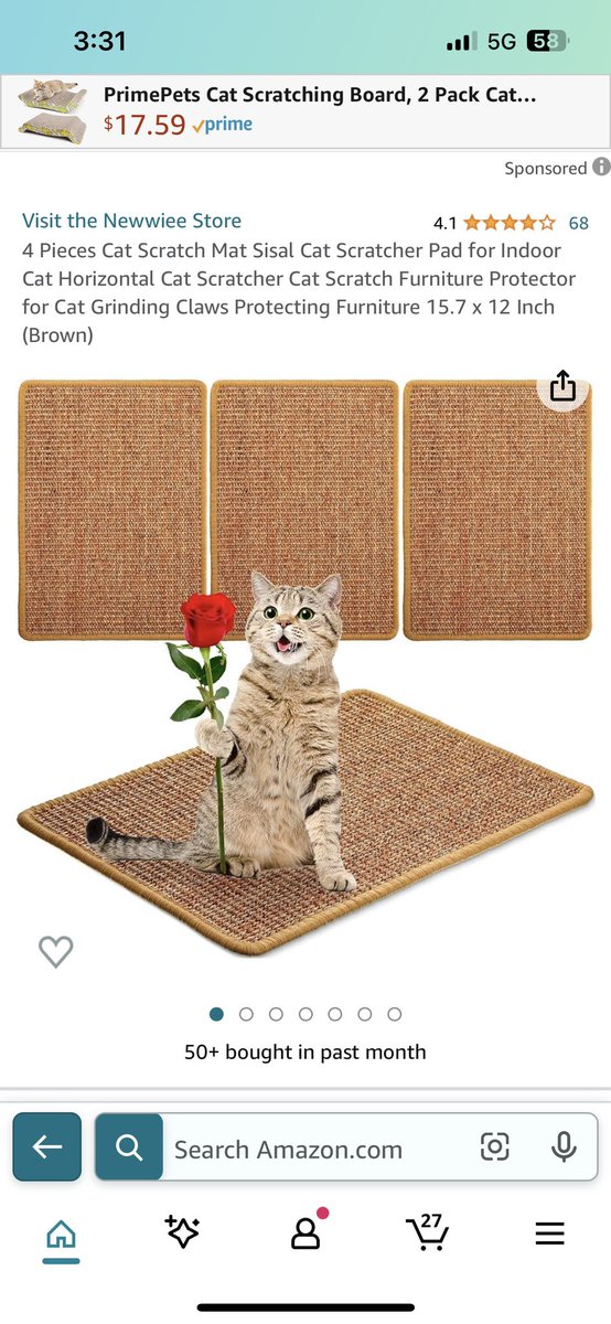 tr0picalgoth's tweet photo. @Tyra__Banksy 1. My new foster kitty, August. Hes 10 weeks old and has Cerebellar Hypoplasia (the wobbly cats that look like tiny drunkards)

2. A picture from Amazon that amused me. 

3. My cat Ducky, melting. 

4. Pratt being goth in bed, listening to Bauhaus https://t.co/XDQmlUwnE3