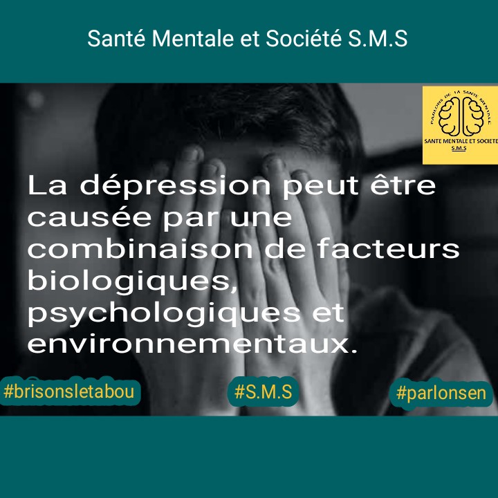 Santé Mentale et Société(S.M.S.) tweet media
