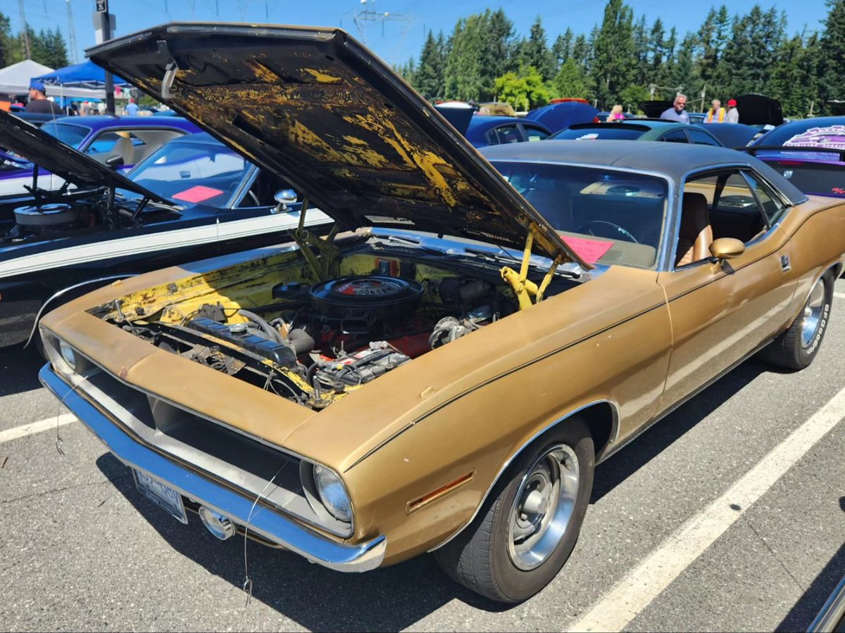 mopars_and_more's tweet photo. #1970plymouthcuda #1970cuda #70plymouthcuda #70cuda #1970dodgechallenger #1970challenger #70dodgechallenger #70challenger #1973plymouthcuda #1973cuda #73plymouthcuda #73cuda #dodge #plymouth #mopar #carshow https://t.co/v70Hy4CBQi