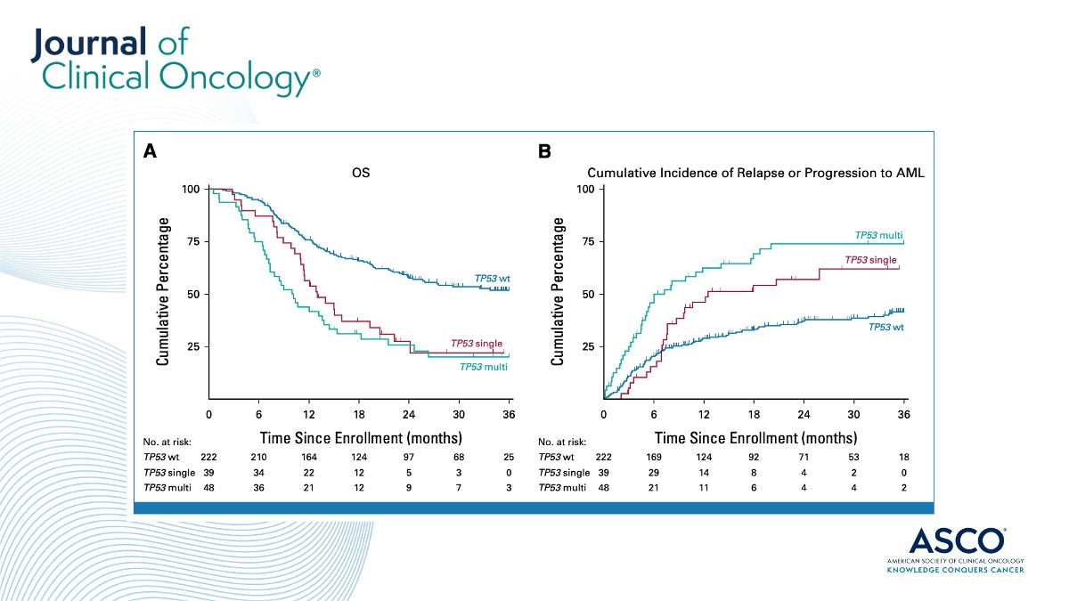 🎯 Reduced intensity #HematopoieticCellTransplantation improves overall survival in MDS patients w/ TP53 mutations irrespective of TP53 allelic status #MyelodysplasticSyndrome ➡️ brnw.ch/21wDbev #mpnsm #HCT @ColemanLindsley