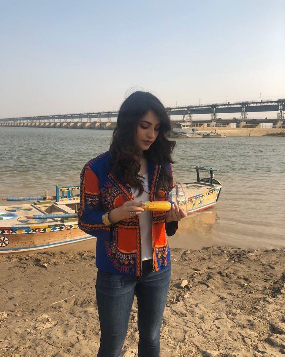 Hiba Ali tweet media