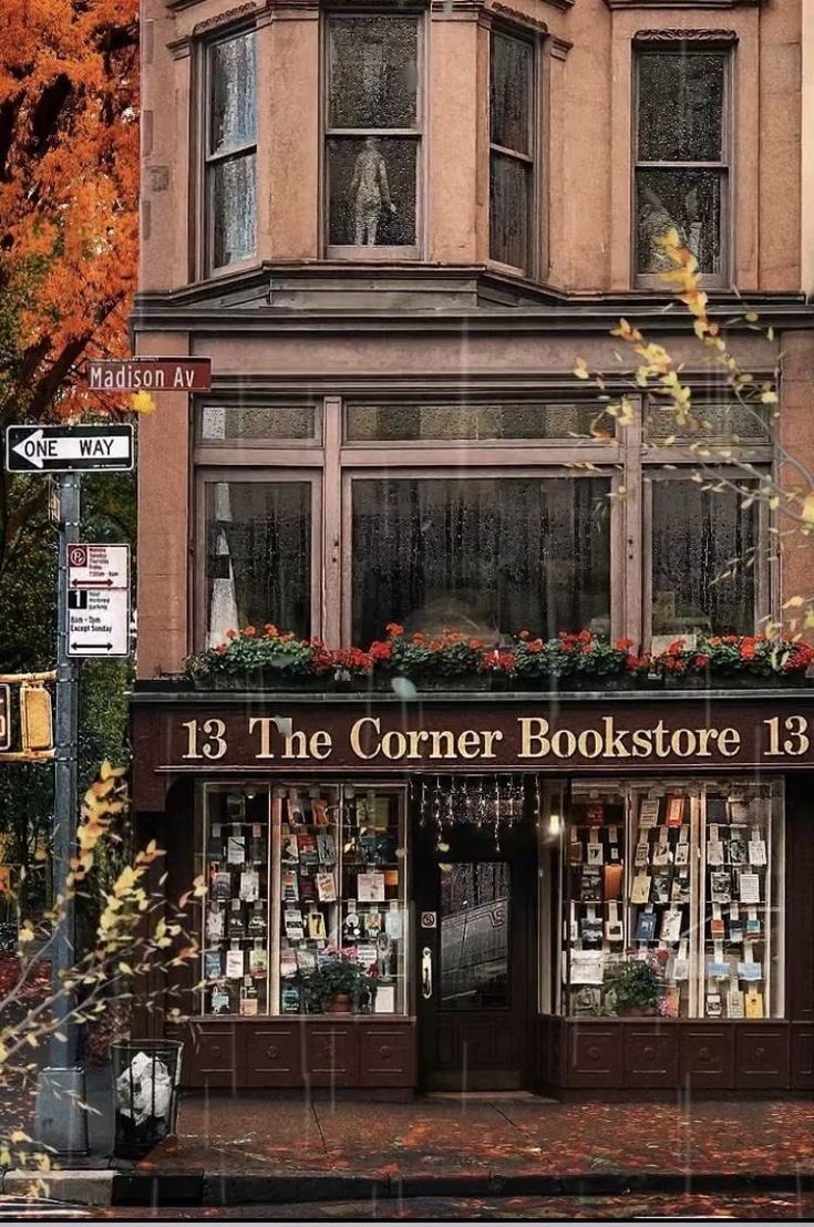 lassybees's tweet photo. fall 2023: books and cinnamon rolls 📖 https://t.co/TOKgcdbB4Y