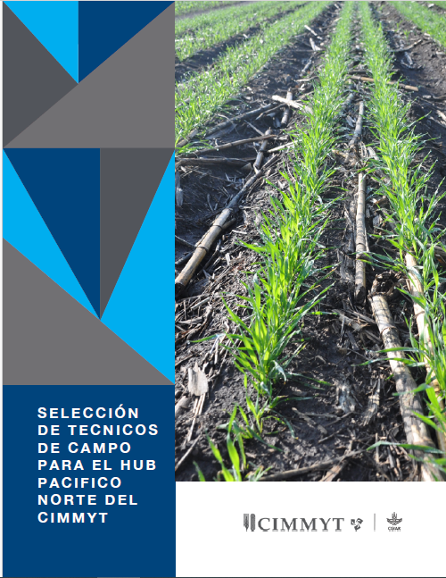 #HubPacíficoNorte esta buscando tecnicos de campo interesados en consultoria para el estado de Sinaloa!   

Para participar registrate en el siguiente link llenando el formulario. 👉forms.gle/XPAUpmiRzVdonn… 

Mas informacion en la  Convocatoria👇 cimmyt.org/es/uncategoriz…