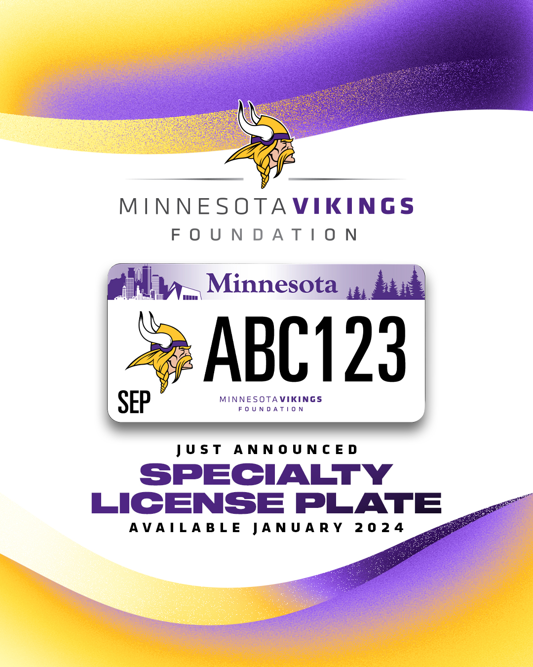 minnesota vikings foundation