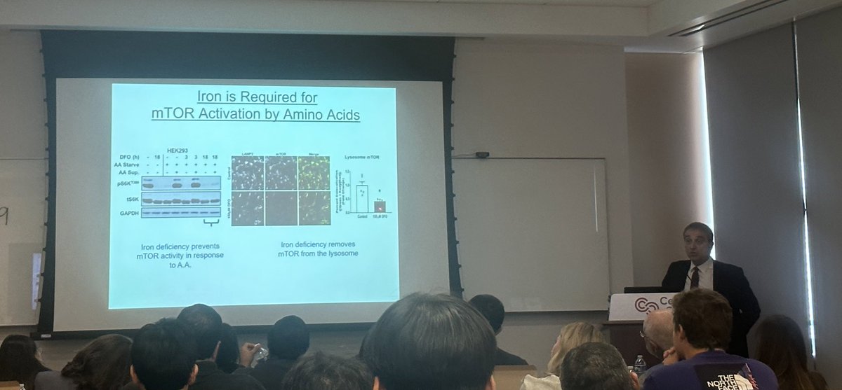 An illuminating talk by @ArdehaliHossein on iron's crucial role in cardiac diseases.The indispensable connection between mTOR activation and iron left us in awe. A big thank you to @MarbanLab for fostering this amazing exchange of scientific insights.
@SmidtHeart #ScienceTalks