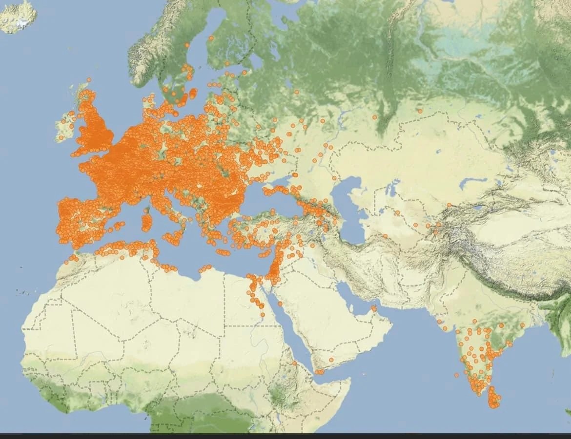 Where Roman coins have been found