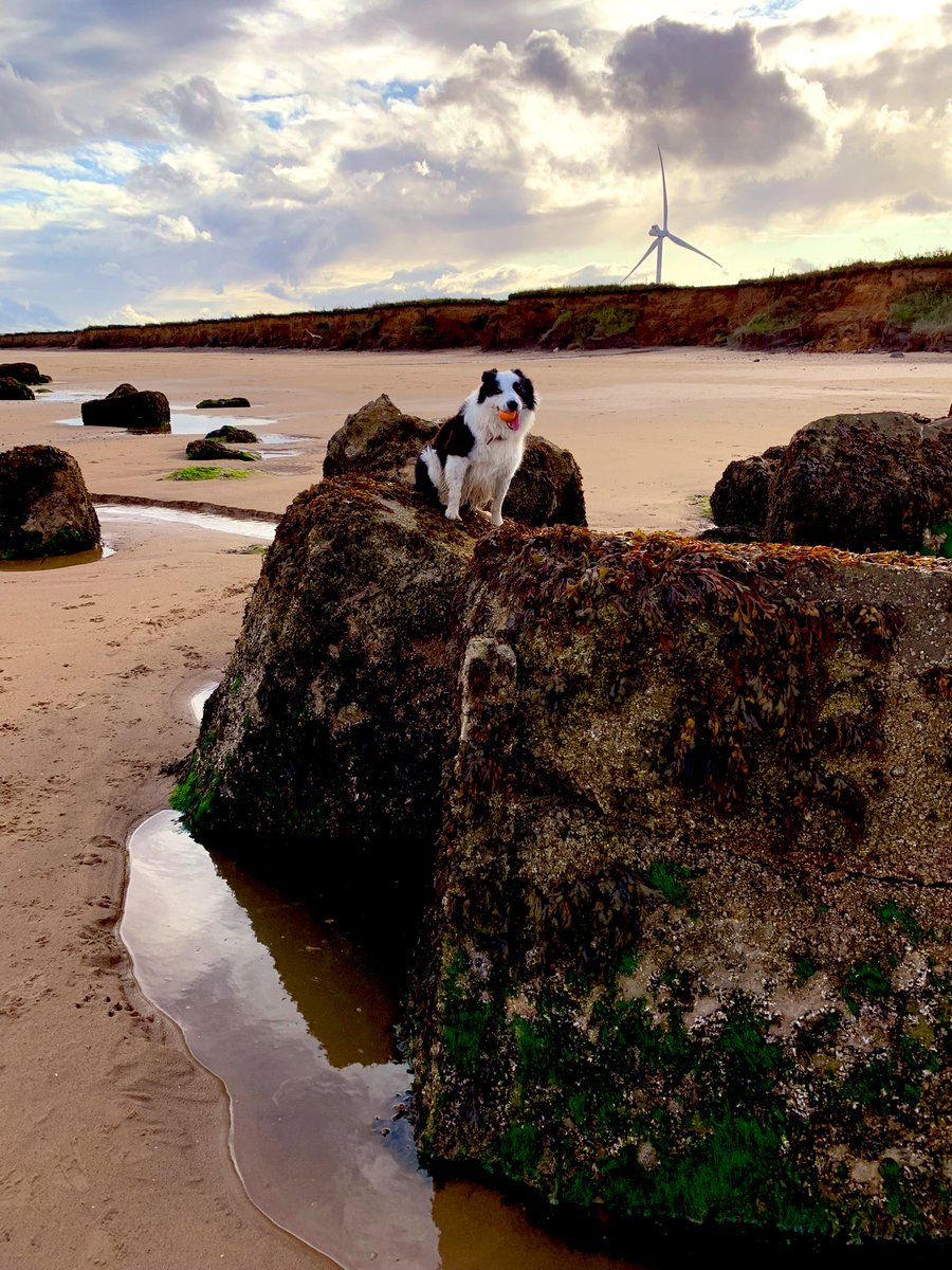 Big Rocks! Small Flynn! How did I even get up here 😆 Goodnight all .. sweet dreams 💤💤