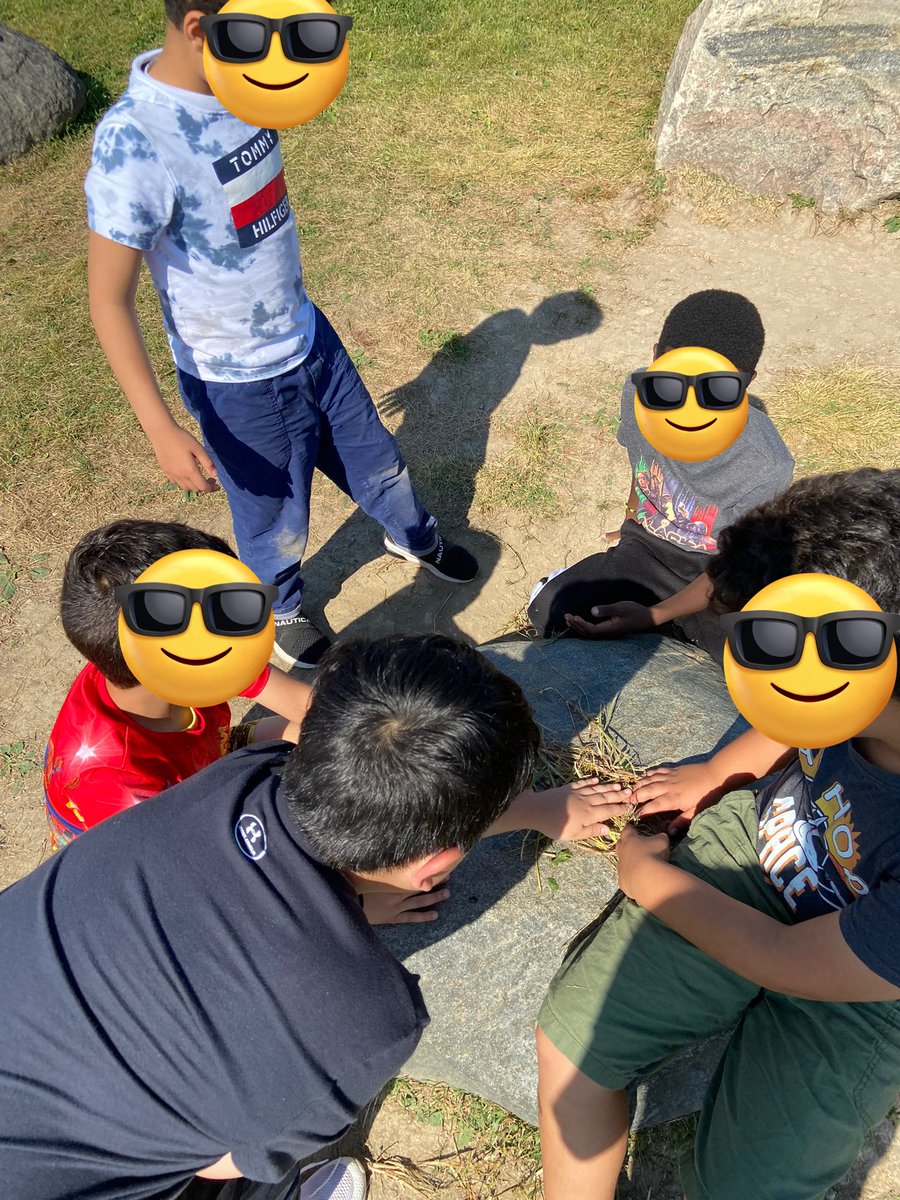 Math challenge: Can you build a bird’s nest with 50 sticks and blades of dried grass? What if you had to make 12 nests? How many sticks would that take? We are in awe of birds! How do they do it? Science connection: What kind of soil would help? <a href="/HDSBMath/">HDSB Math</a> #outdoorlearning