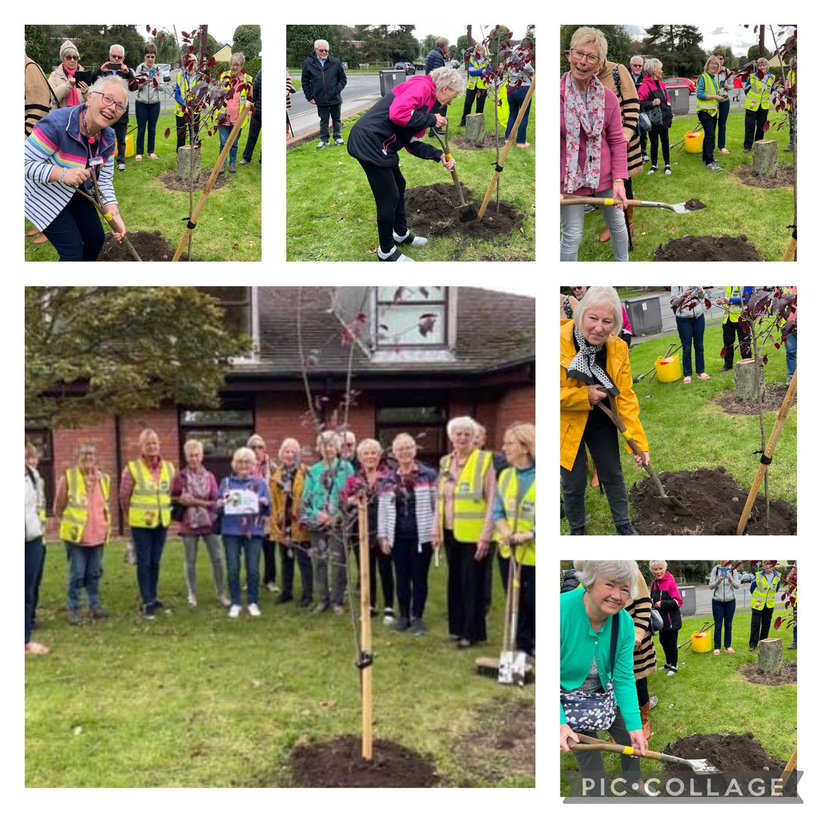 Alison Maxam tweet media