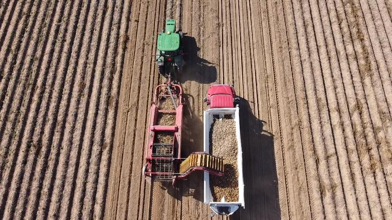 Anselm Lankhuijzen tweet media