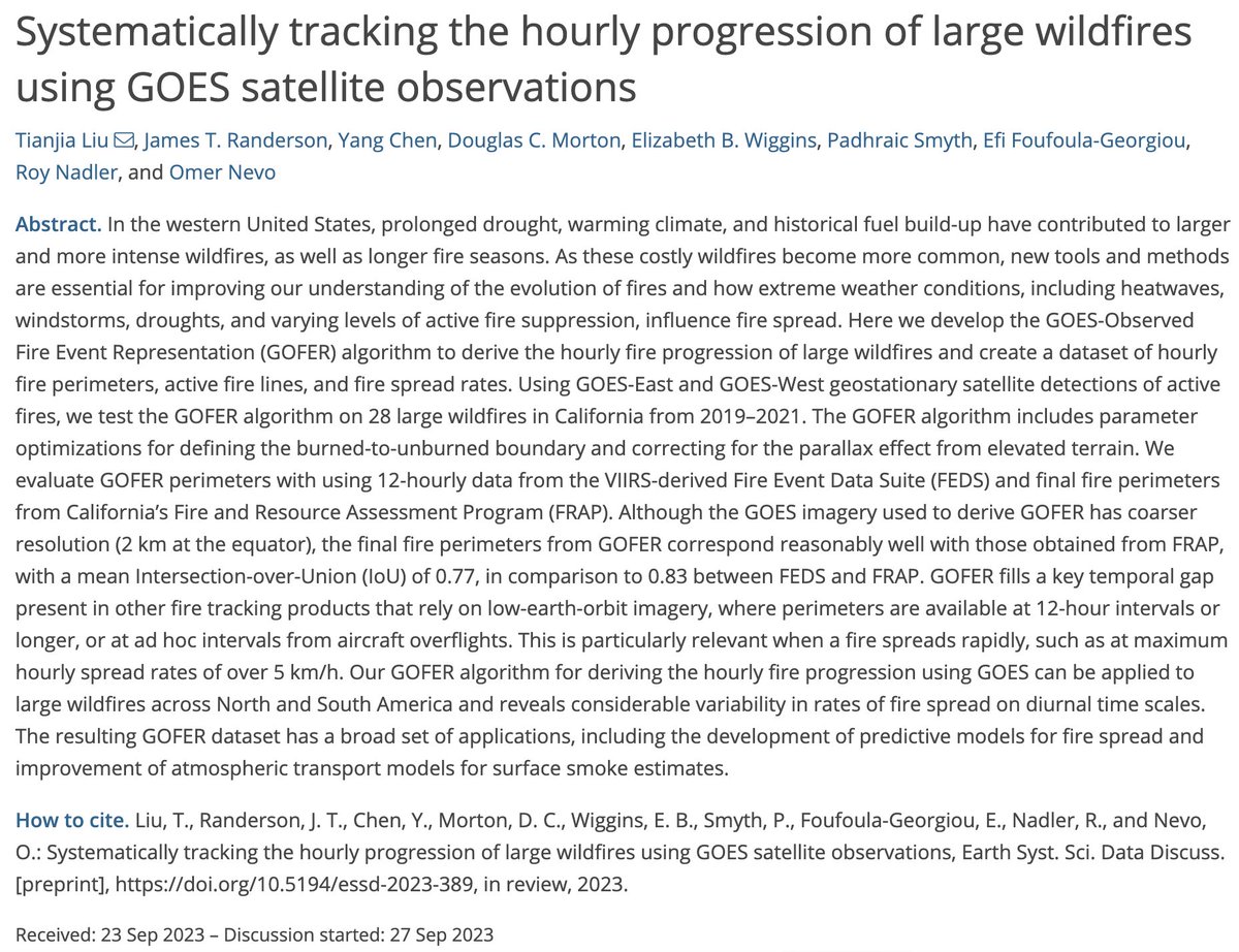 Tina Liu 🔥 tweet media