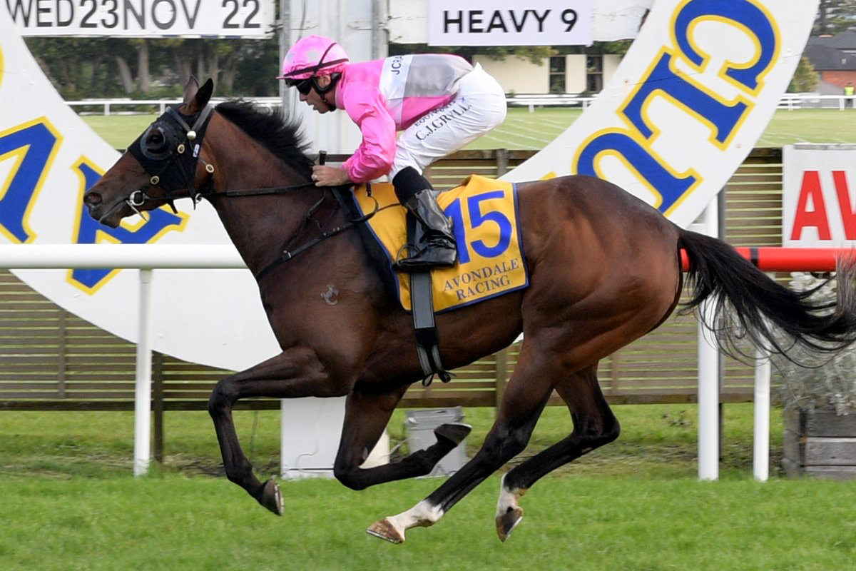 JenCampinRacing's tweet photo. Racing today @ Tauranga | IMARICHGIRL

Race 10, 5.35pm, Vosper Property Management 1600m. After a promising 3rd last start Imarichgirl looks ready to strike third up. https://t.co/f3vFlXRkFf