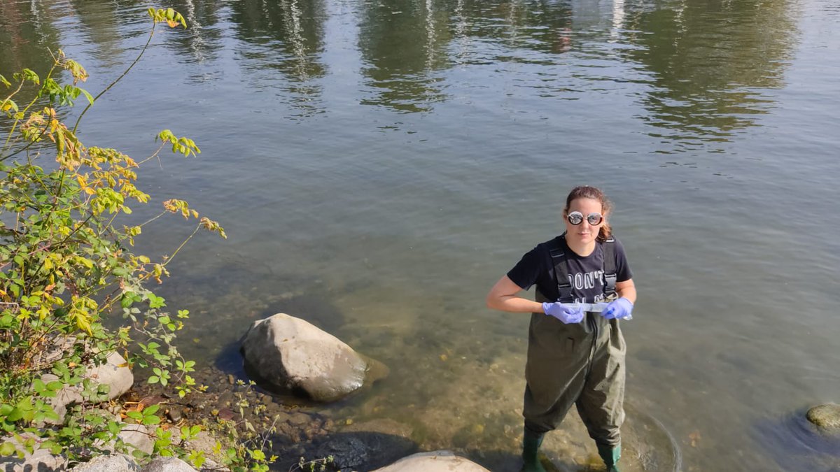 Laura Garzoli tweet media