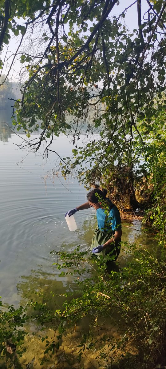 Laura Garzoli tweet media