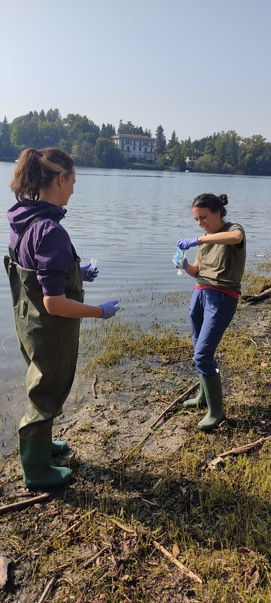 Laura Garzoli tweet media