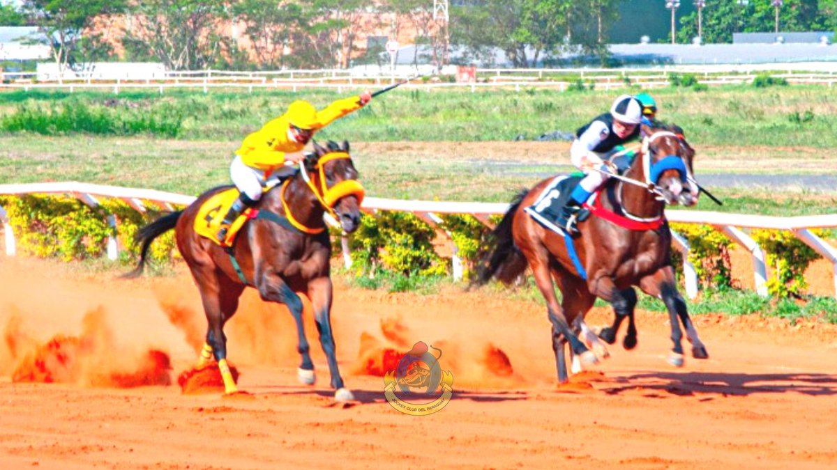 jockeyclubdelpy's tweet photo. ✅ En el #HipódromoDeAsunción se disputó la Segunda Carrera de la Reunión N° 24 (7ma. Categoría - 1.300 mts), dónde se impuso #RetratoDelPadre, con la conducción de #JuanRamirez, fue entrenado por #LilioBenitez, pertenece al #StudDonRubi.
💢 Tiempo: 1'20"16/100. https://t.co/UuhKUXgguk