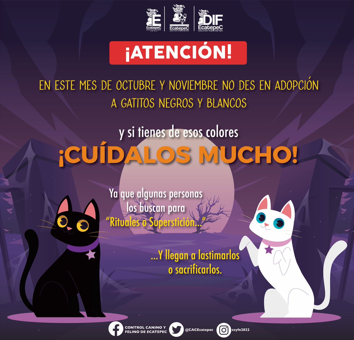 #Mascotas |  🚨¡POR PRECAUCIÓN! 🚨

Se declara inaugurada la temporada da 𝗡𝗢 dar gatos negros y blancos en adopción.

#DIFEcatepec #MunicipioConValores