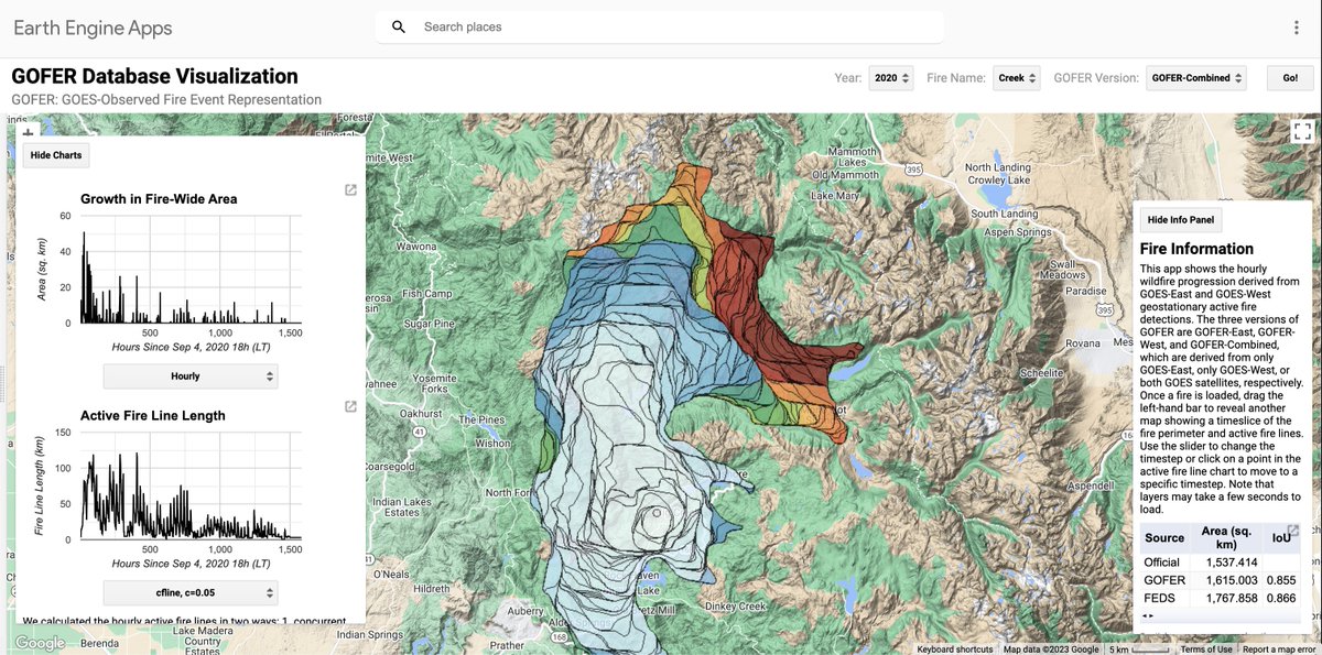 Tina Liu 🔥 tweet media