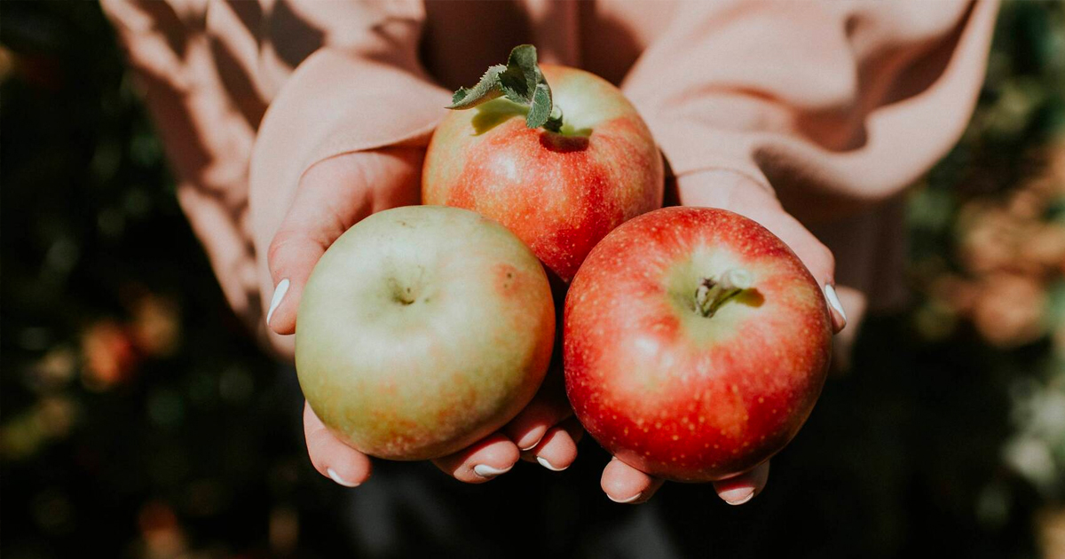 Southeast Michigan’s apples get an A+ according to <a href="/TimeOutUSA/">TimeOutUSA</a>, ranked #2 for best places in the U.S. to go apple picking this fall. 

bit.ly/3rBPE00 #PureMichigan #KeepFallFresh