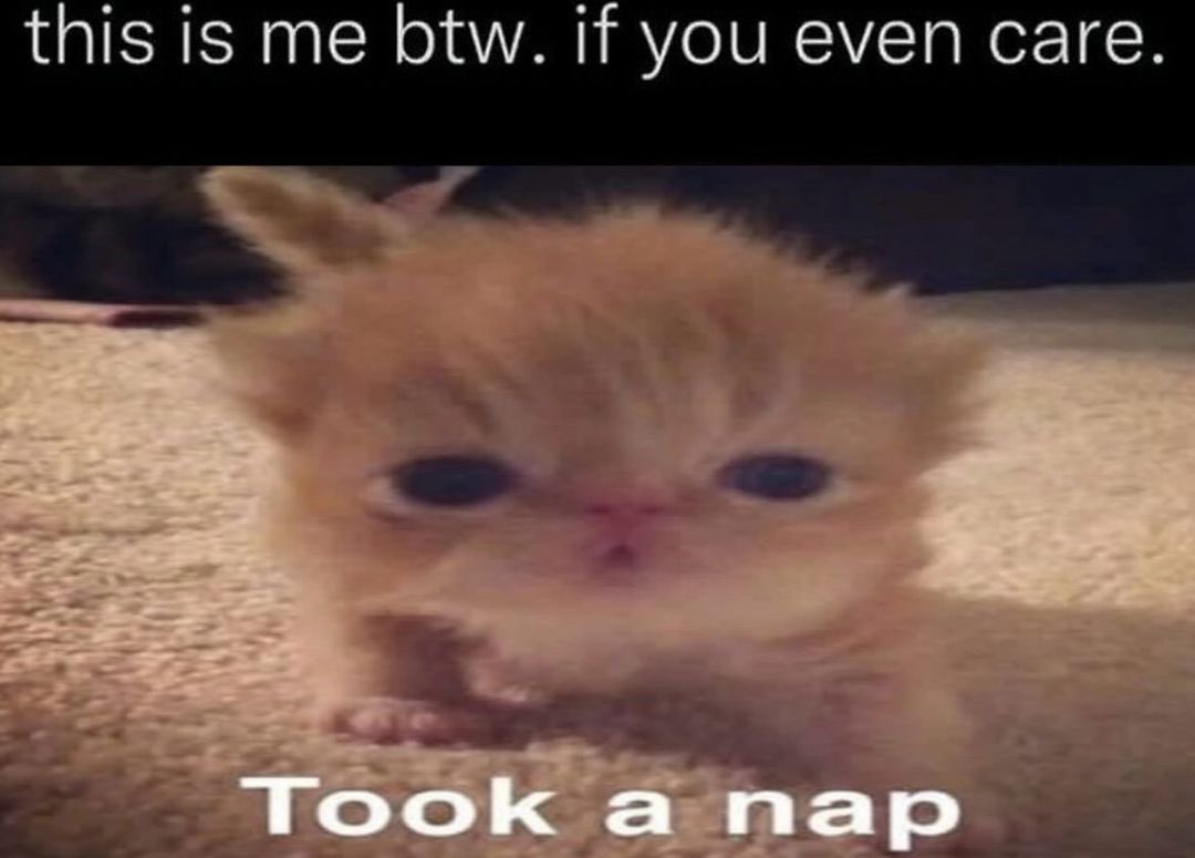 literallymecats's tweet photo. https://t.co/0myDR15rae